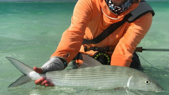 The Love Of Fly Fishing