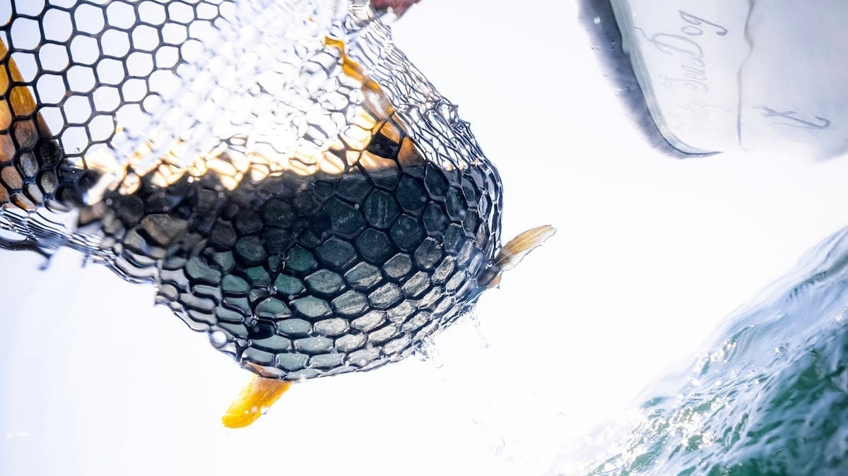 Depredation (AKA The Tax Man)