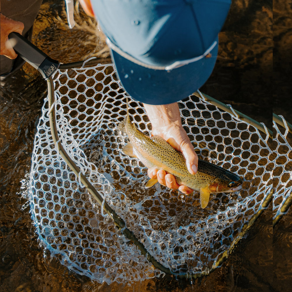 Person holding a fish with a net in a natural setting