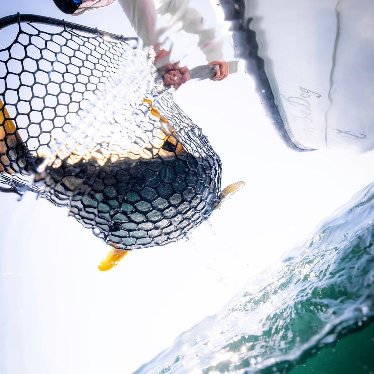 Depredation (AKA The Tax Man) – Rising Fishing