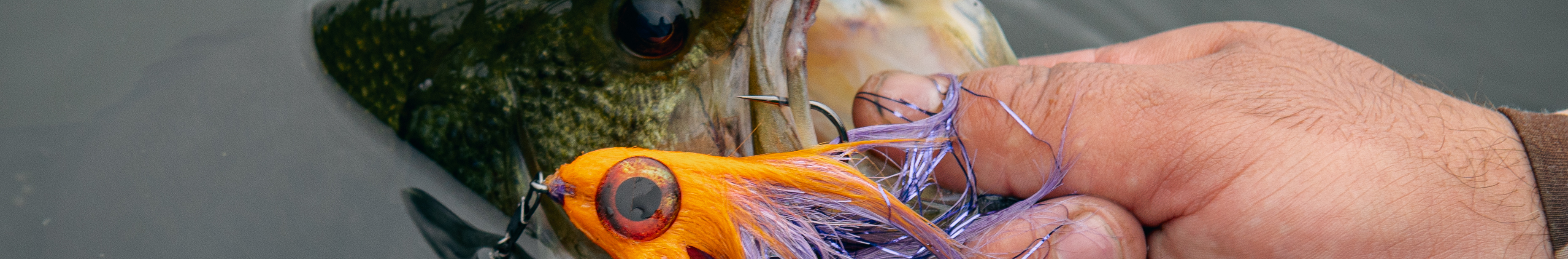 Rising Fishing Outlet Deals