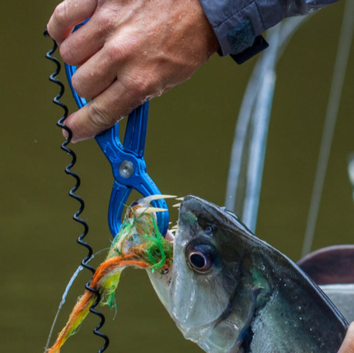 Coil Leash – Rising Fishing