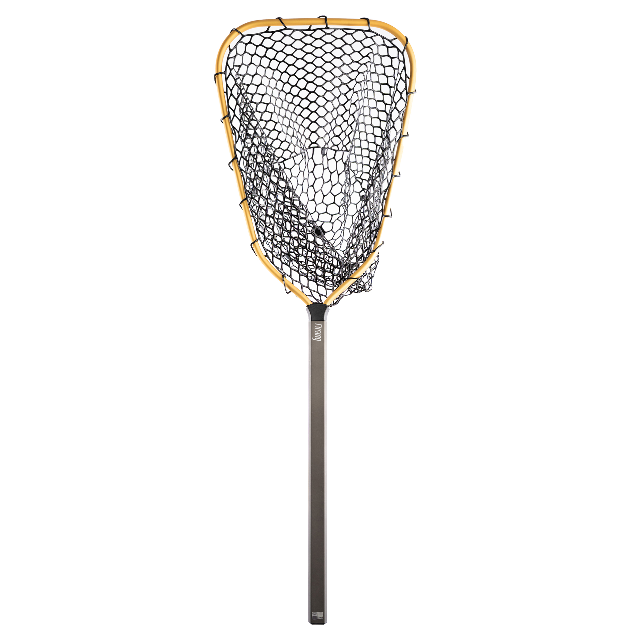 Rising Travel Net Baja